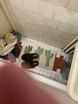 Why_Not_7のウェブカメラショー