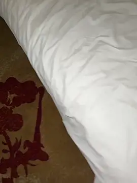 عرض كام qsjt001