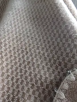 Webkamerová show Elixire1