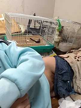 youheikunのウェブカメラショー