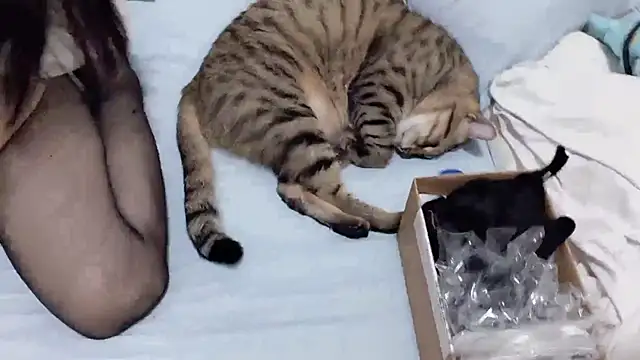 Chatroom XXX en direct de LHeart