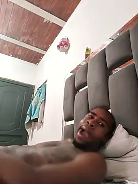 Show webcam de julianvergar