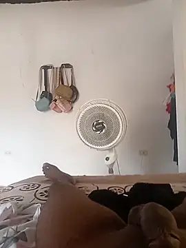 Show Webcam de Salazar738