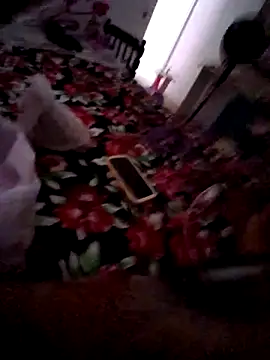 Chat +18 de japosamel ao vivo