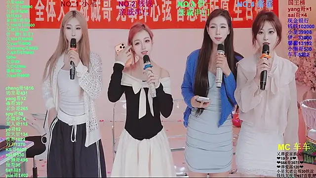 ZZ00033S Webcam-Show