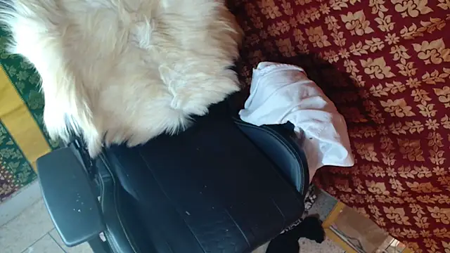 coacharabian 即時 XXX 聊天