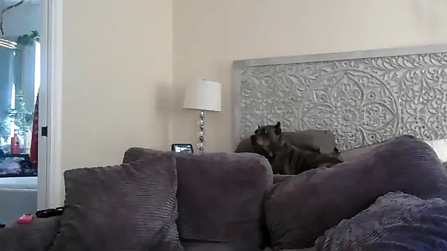 MISTERANDDEMI Show in webcam