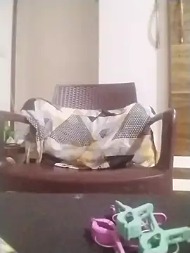 Show de webcam de jenilmax