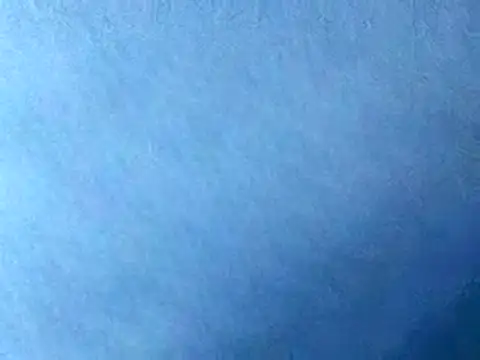 Chat XXX Live pegaso369