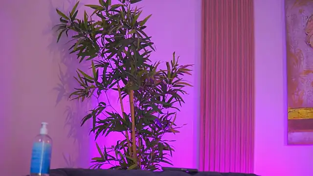 Aisha_Bee Live XXX-chat