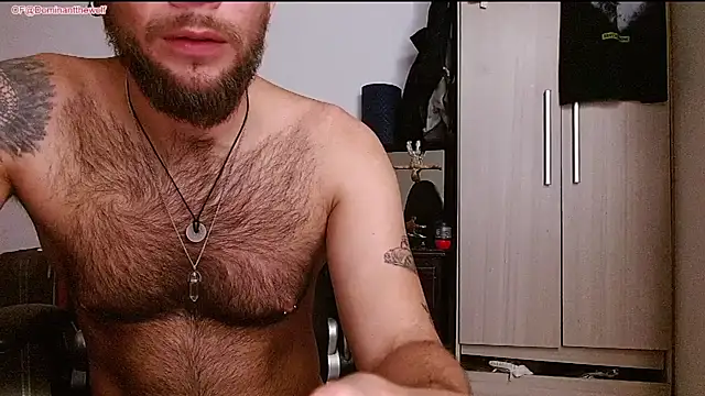 DominanThewolff Live XXX-Chat