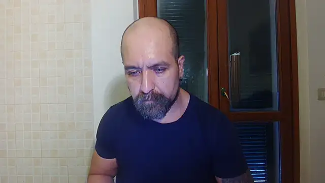 Pokazy przed kamerką – AMIRDIB2025