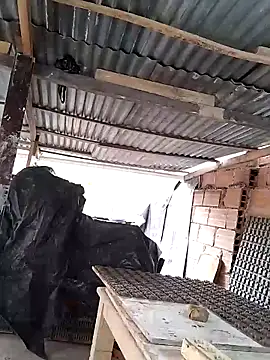 hoteder 网络视讯表演