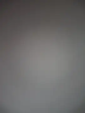 Pertunjukan Kamera Web TheDime