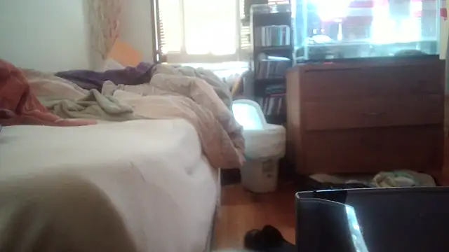 عرض كام jumpingtomflash