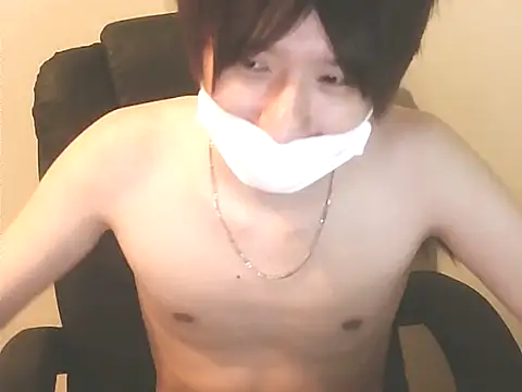 Show de JPTopModel na webcam