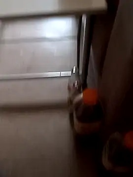 BushedScreedn Webbikameraesitys