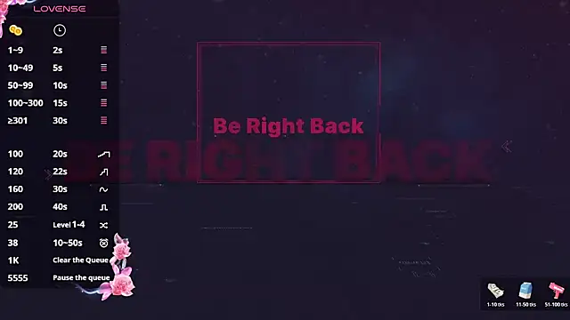 LUUVRRI_21n Webbikameraesitys