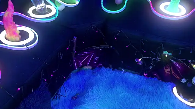 LaytonBox 现场XXX聊天