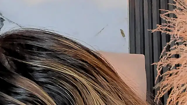 cloesummerr_ live XXX chat