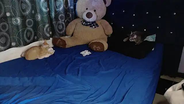 ANGELIQUE_KLANE Chat XXX live