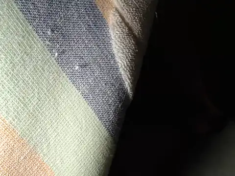 IMAGatMARKのウェブカメラショー