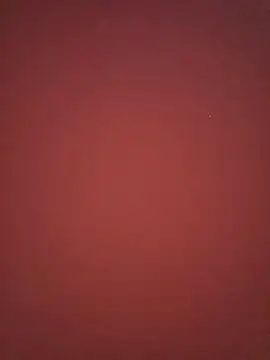 Pokazy przed kamerką – Babylivelive