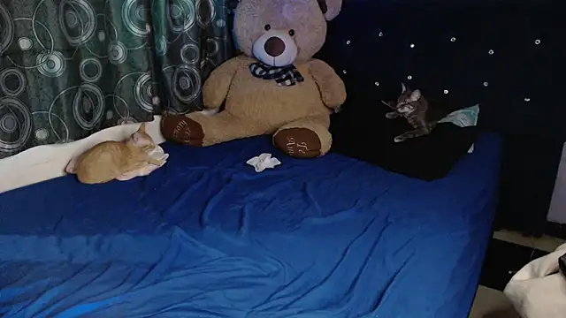 ANGELIQUE_KLANE Live XXX Chat