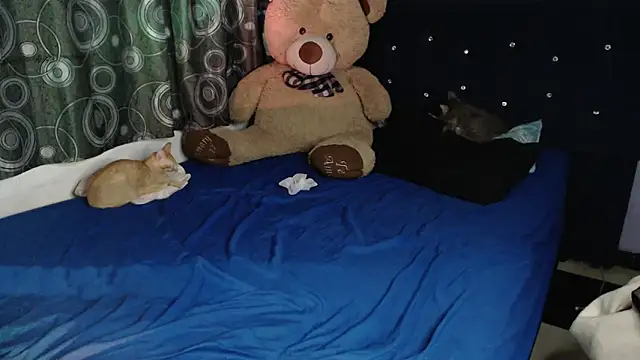 ANGELIQUE_KLANE Live XXX-Chat