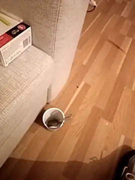 kenzzzz's Webcam Show