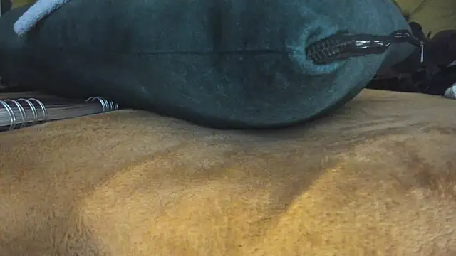 LADY-IN-BLACK – Live XXX-chat