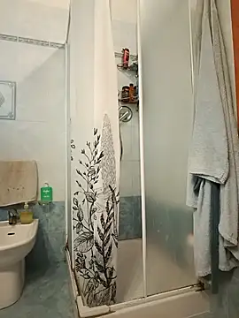 common47 Show in webcam