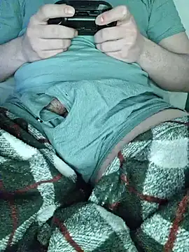 Show Webcam de 1Fantomas