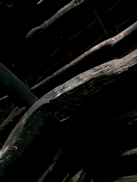 Manu_mehta Live XXX-chat