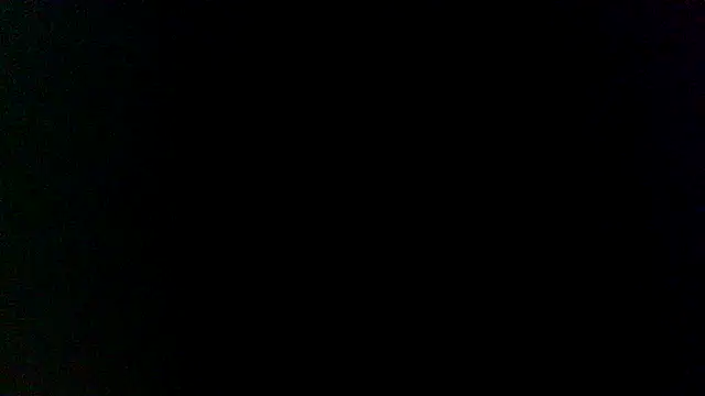 Show webcam de bigraski1976