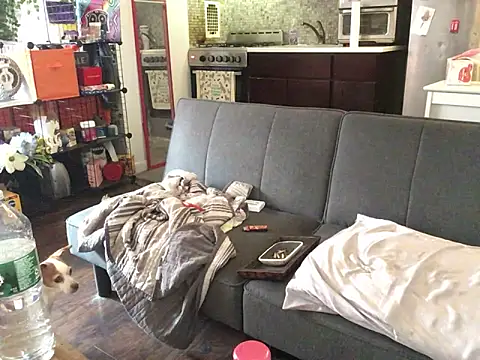 littyleesh1 即時 XXX 聊天