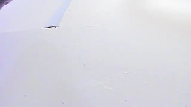 silvana__miller Live XXX-chat