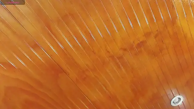 Manson_and_Zoen Webbikameraesitys