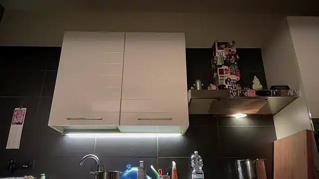 theitalianbear 网络视讯表演