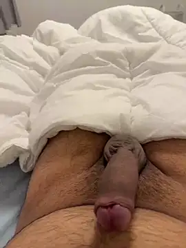 Show webcam de Straight8Incher