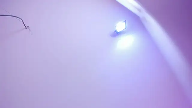 Kate_bunny_n Live XXX chat