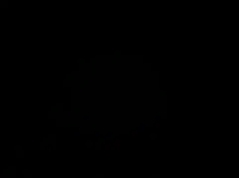 intercropn Webbikameraesitys