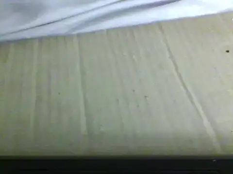 boocy Obrolan Langsung XXX