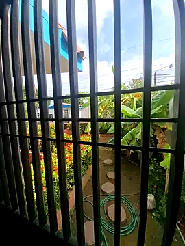 Ally-cutee's Live XXX Chat