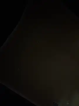 dingoding webkamerás műsora