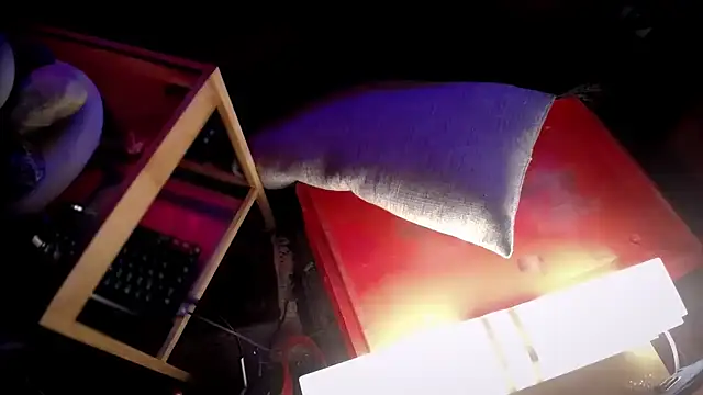 P4RtYBOII92のウェブカメラショー