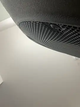 Tattedphoenix Show in webcam