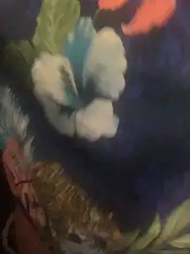 Show webcam de Ldnick69