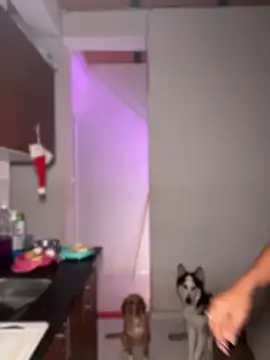 دردشة emilysofiia الجنسية المباشرة