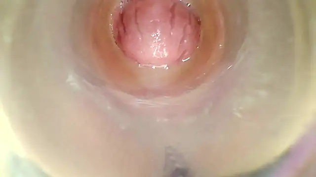 Show Webcam de karol_kane